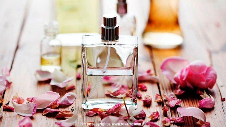 Các nhóm hương nước hoa và điểm đặc trưng của từng nhóm Các nhóm hương nước hoa và điểm đặc trưng của từng nhóm